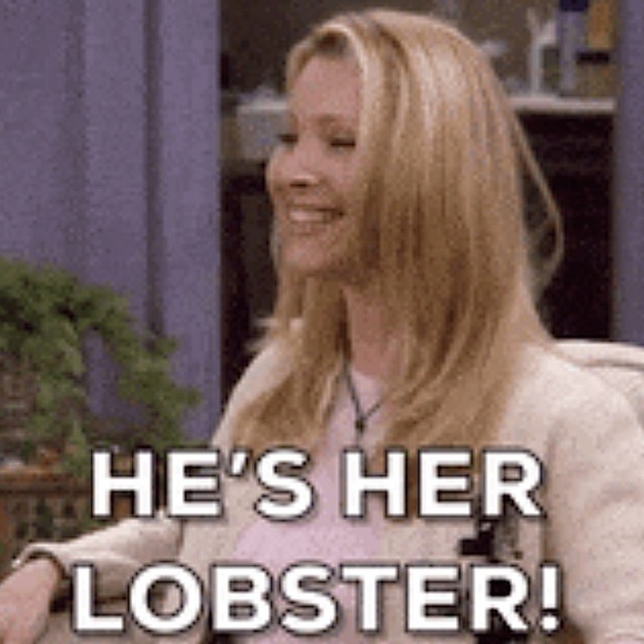 Friends TV Show Phoebe YOU ARE MY LOBSTER Pillow Lobster Embroidery Handmade NEW - Picture 2 of 16